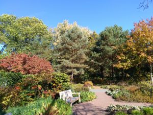 Reiki im Alltag